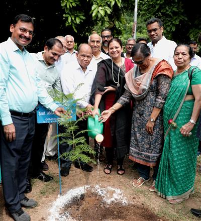 Commissioner planted saplings of flowering shrubs at Sector 18 park