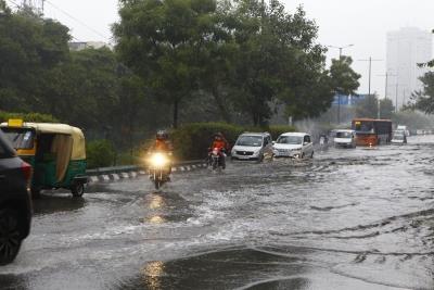  Delhi receives highest rainfall in January since 1995