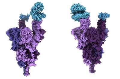 Indian-origin scientist creates 1st molecular structure of Omicron protein