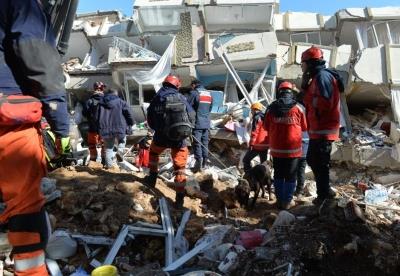 Turkey-Syria quake toll surpasses 23,800