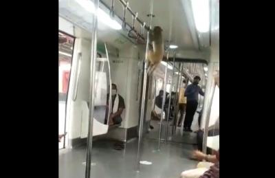 दिल्ली मेट्रो में बंदर के सफर करने का वीडियो वायरल